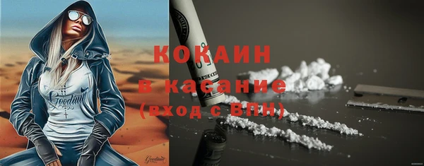 дмт Гусев