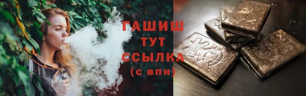 дмт Гусев