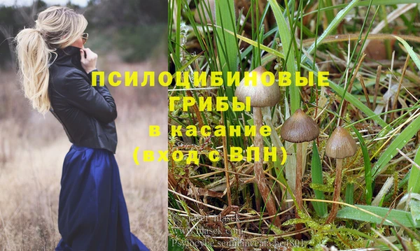 кокаин Гусь-Хрустальный