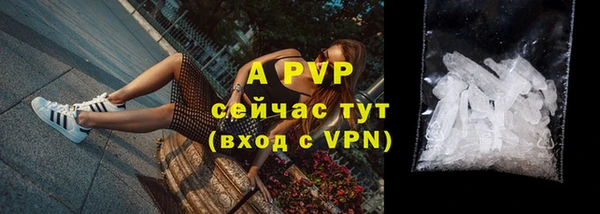 дмт Гусев