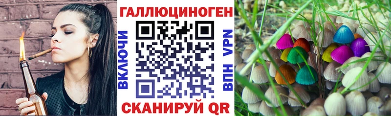 Псилоцибиновые грибы Psilocybe  Коломна 